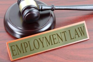 Employment Law Guides Are Needed Due to Changes to Employment Laws Over Time